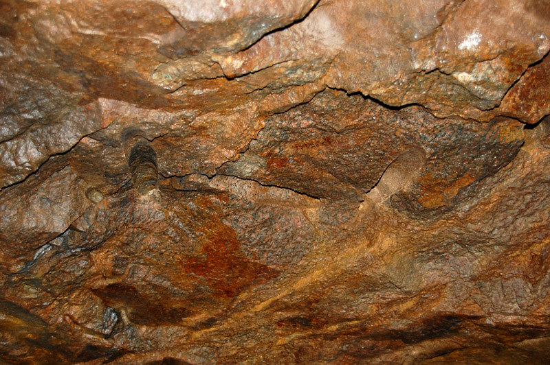 DSC_1388.JPG