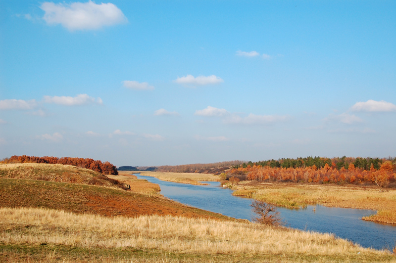 DSC_1399.JPG