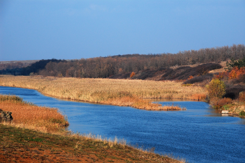 DSC_1409.JPG