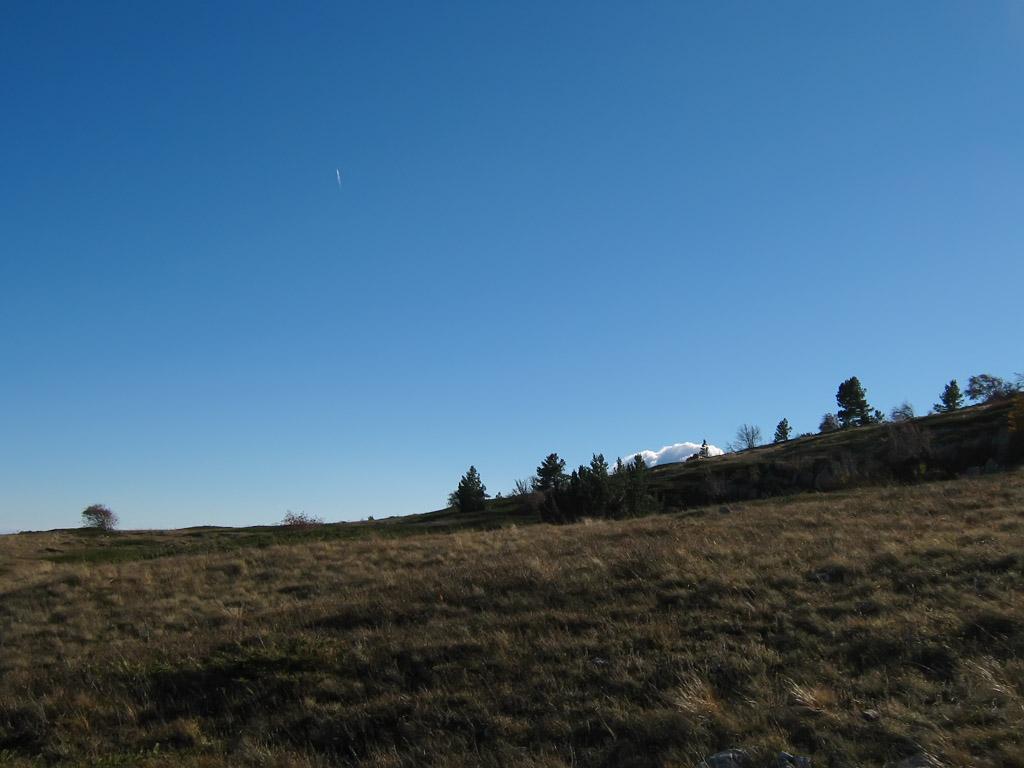 IMG_9227.jpg