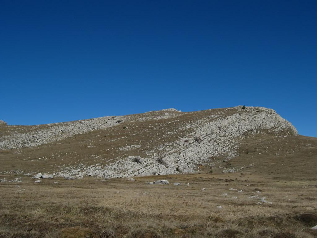 IMG_9405.jpg