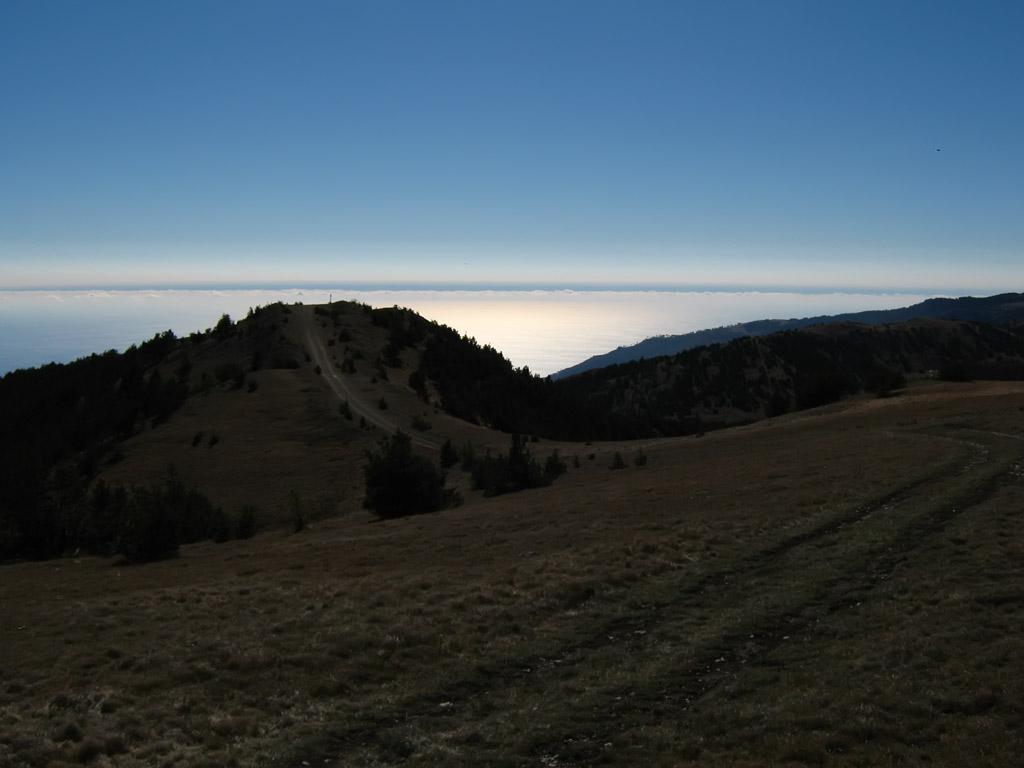IMG_9415.jpg