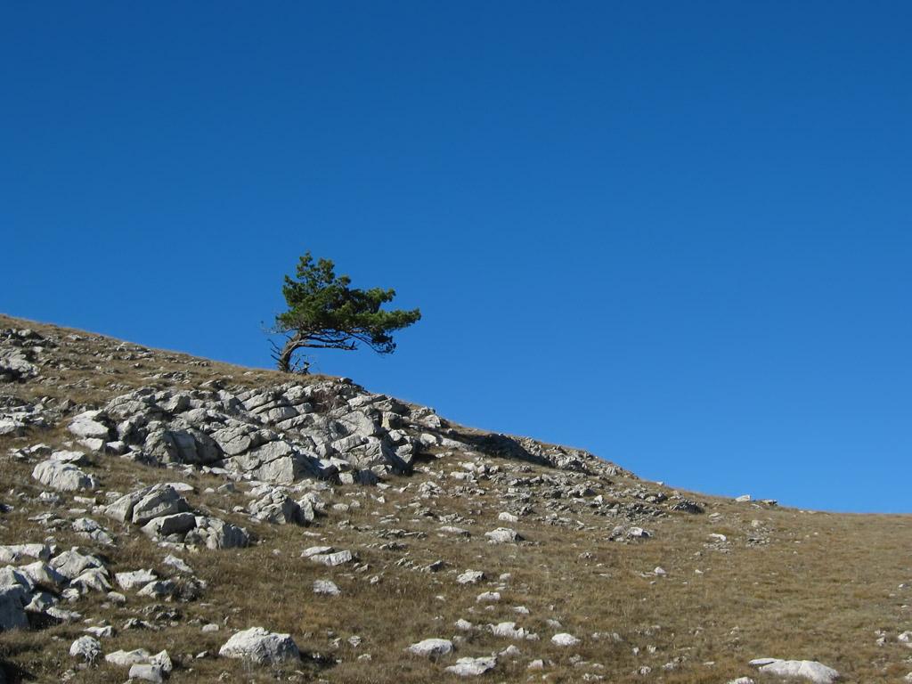 IMG_9463.jpg