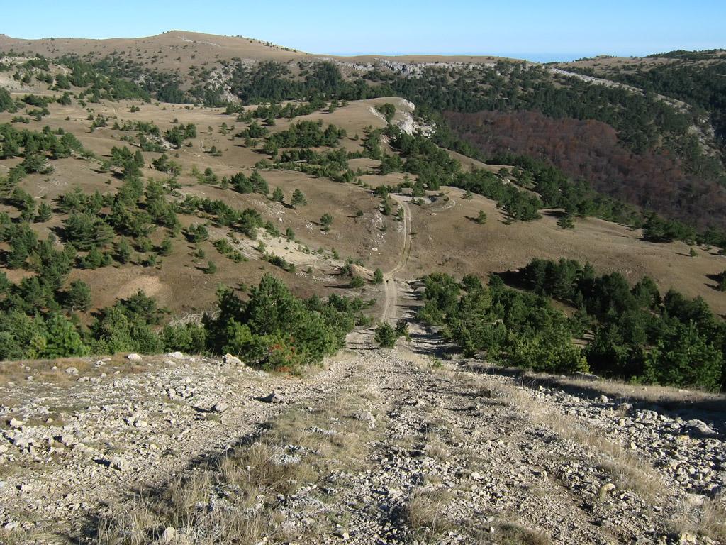 IMG_9505.jpg