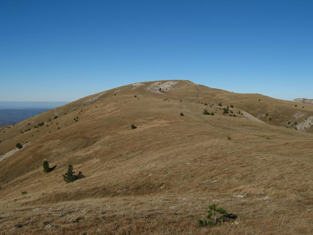 IMG_9512.jpg