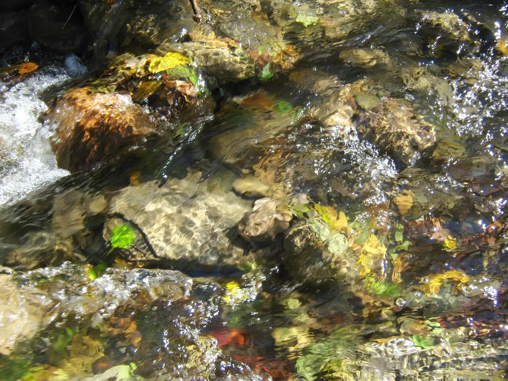 IMG_9610.jpg