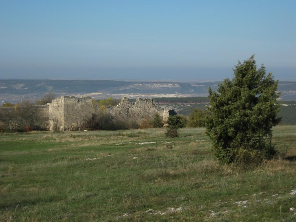 IMG_9774.jpg