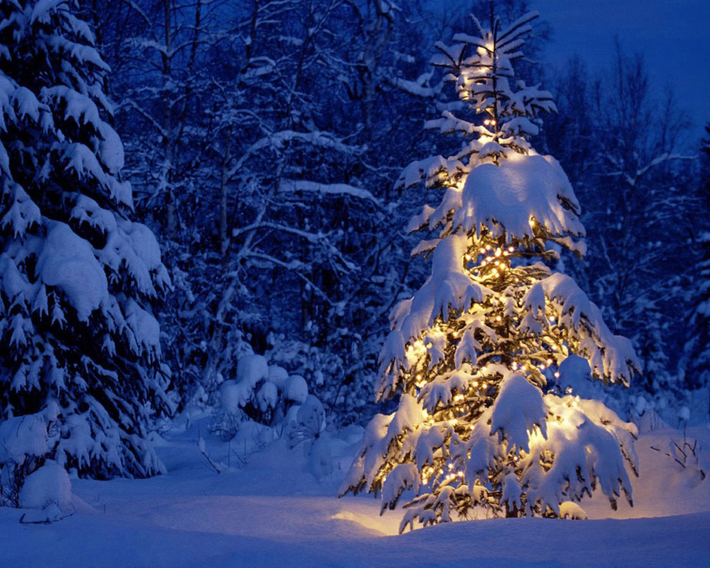 winter_1.jpg