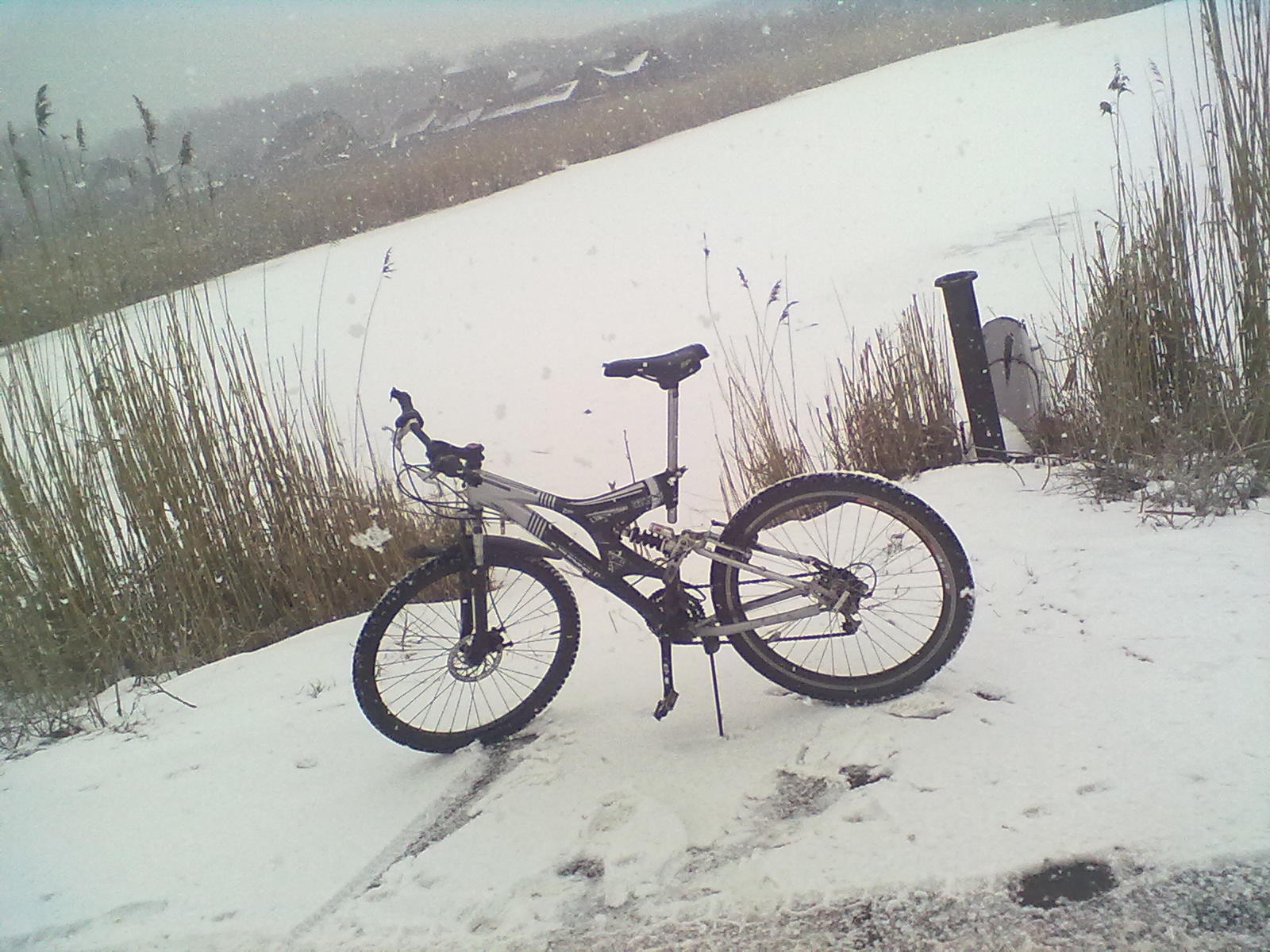 06032011049.jpg