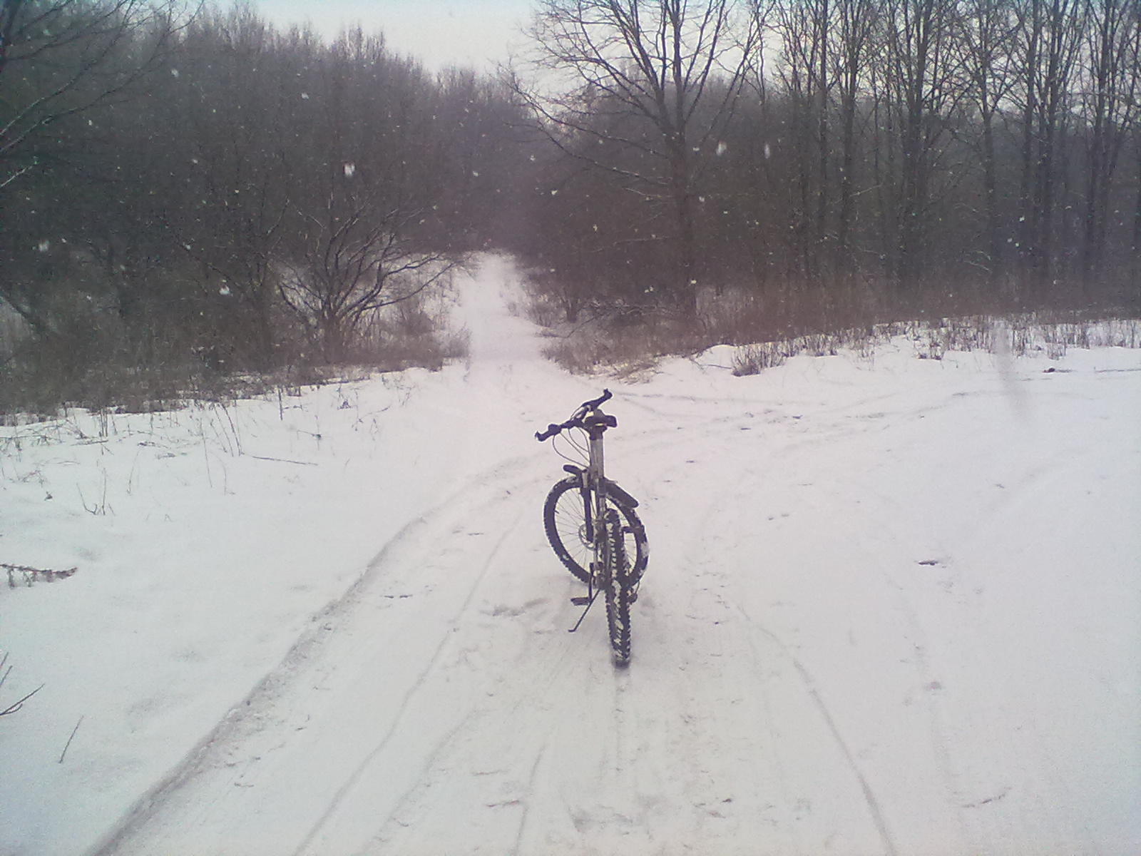 06032011051.jpg
