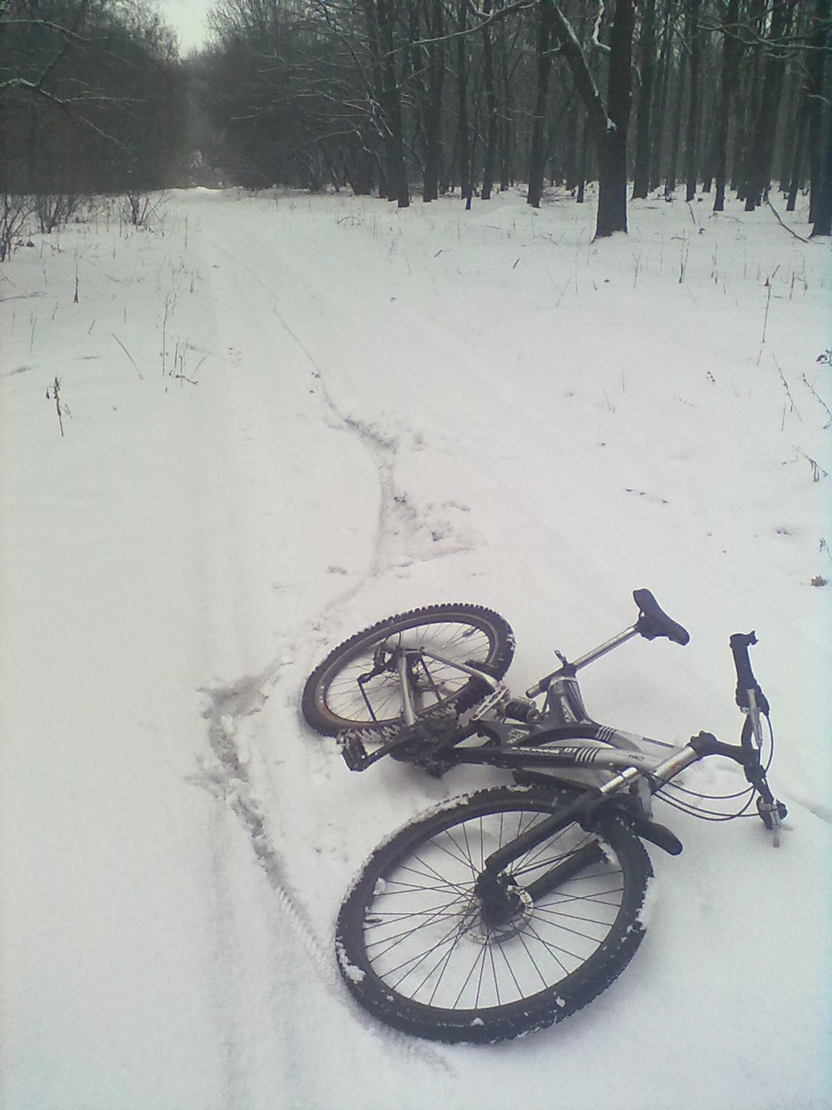 06032011052.jpg
