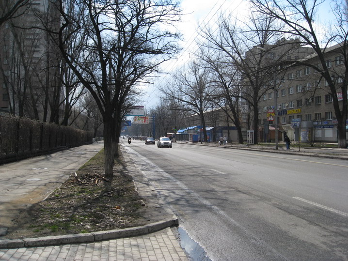 IMG_0661_resize.JPG