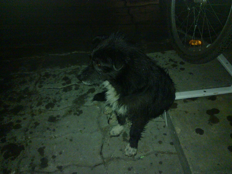 12052011925.jpg