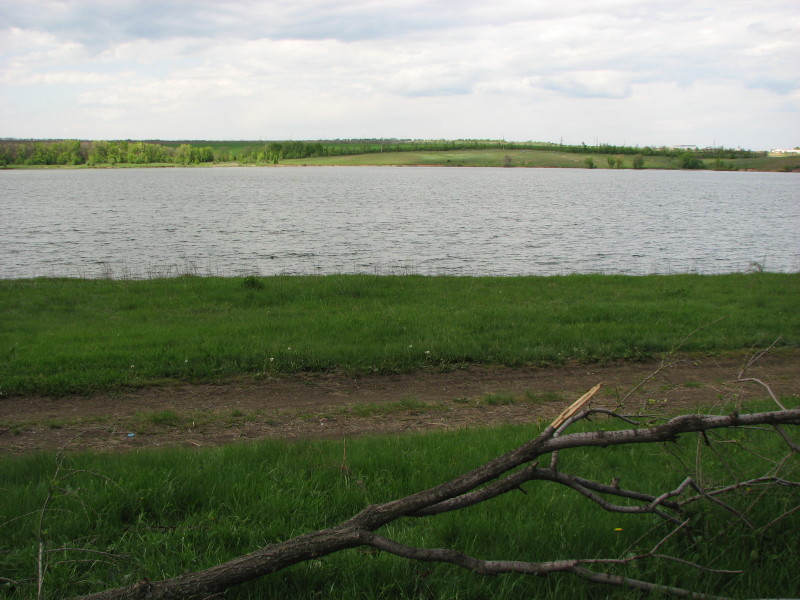 IMG_0333_1.JPG