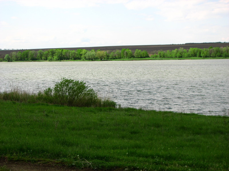 IMG_0335_1.JPG