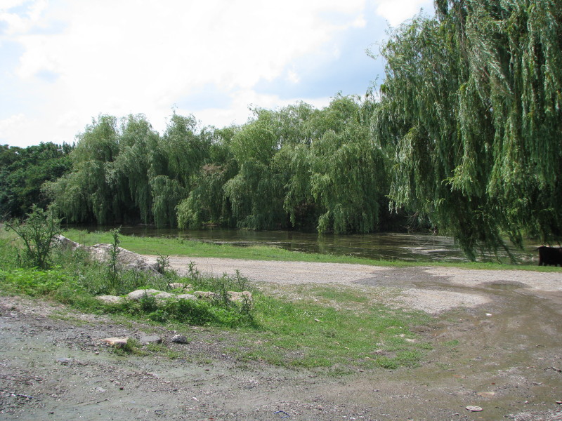 IMG_0981.JPG