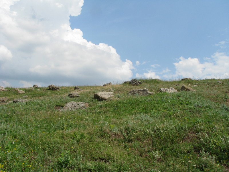 IMG_0985.JPG