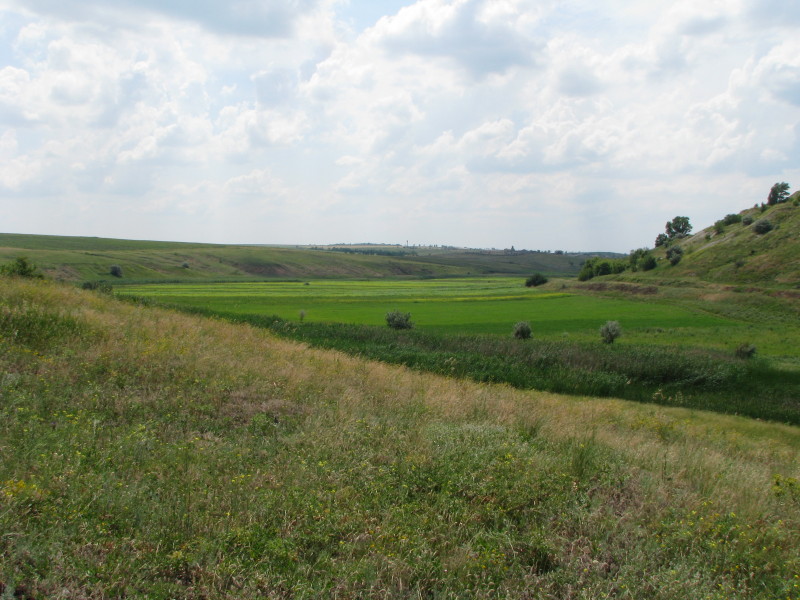 IMG_1055.JPG