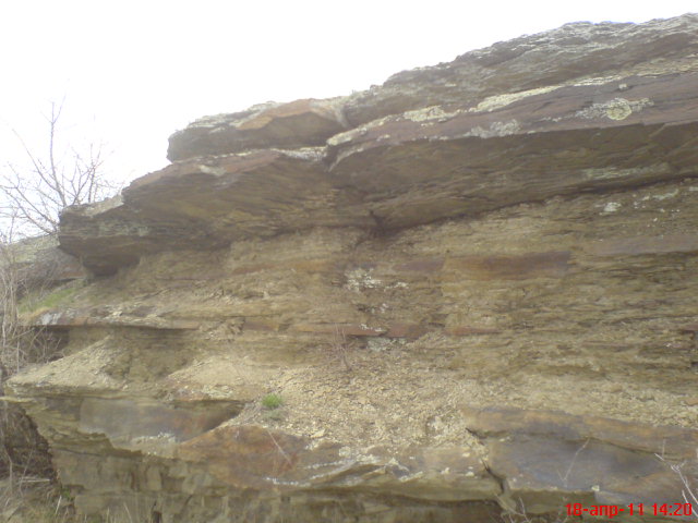 DSC00341.JPG