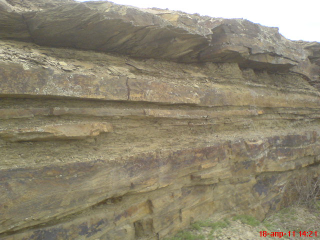 DSC00342.JPG