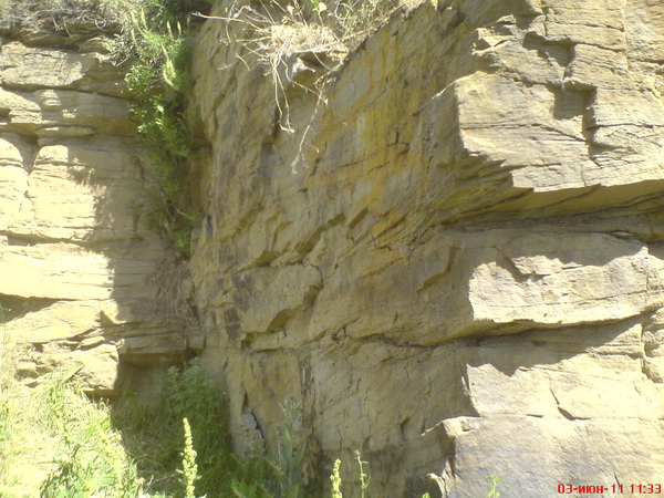 DSC00381.JPG