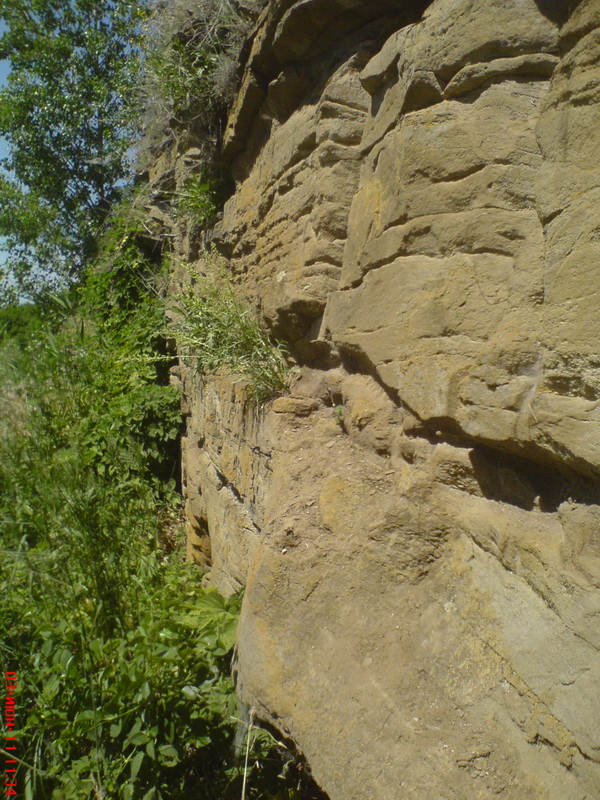 DSC00383.JPG