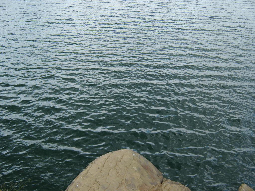 IMG_0155.JPG