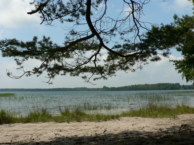 P1170577.JPG