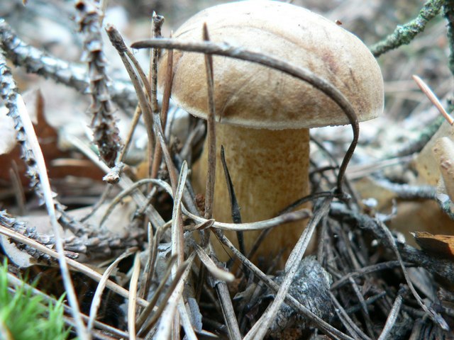 P1170649.JPG