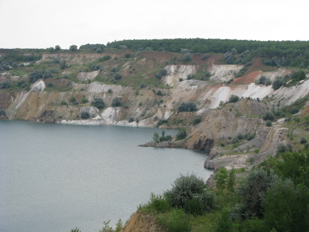 IMG_2346.jpg