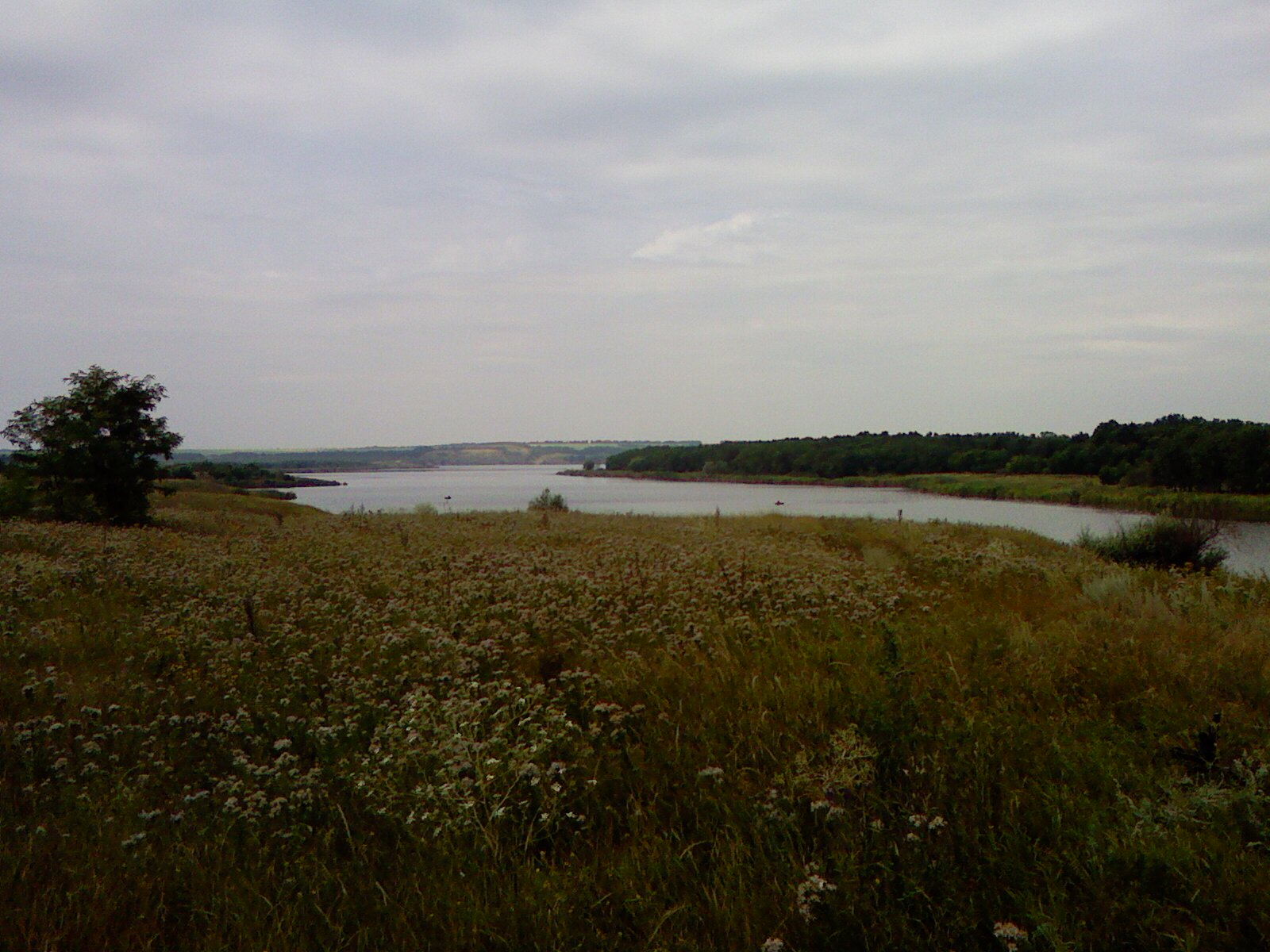 PIC-0004.jpg
