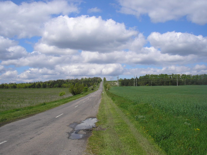 P5104962.jpg