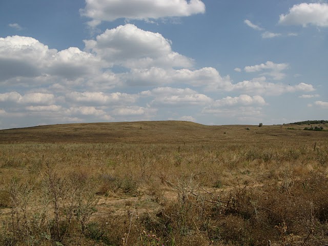 IMG_2477.JPG