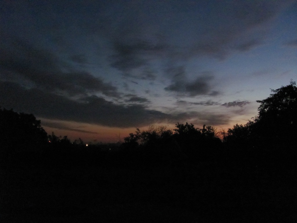 01.JPG