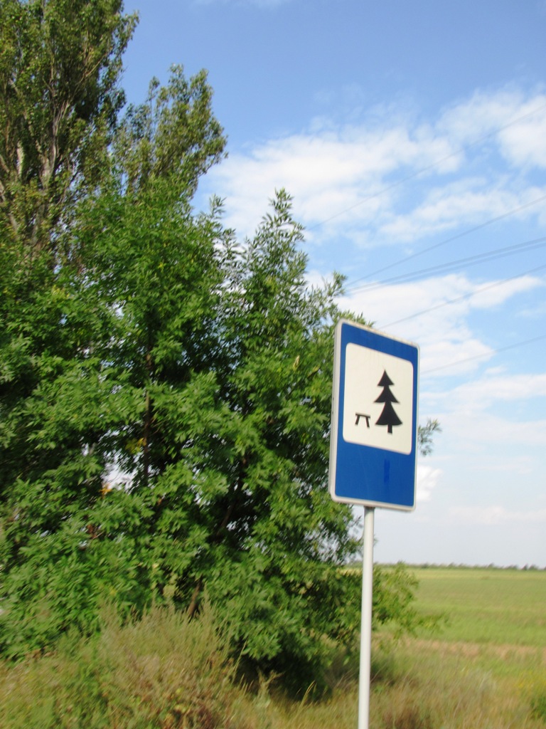 24.JPG