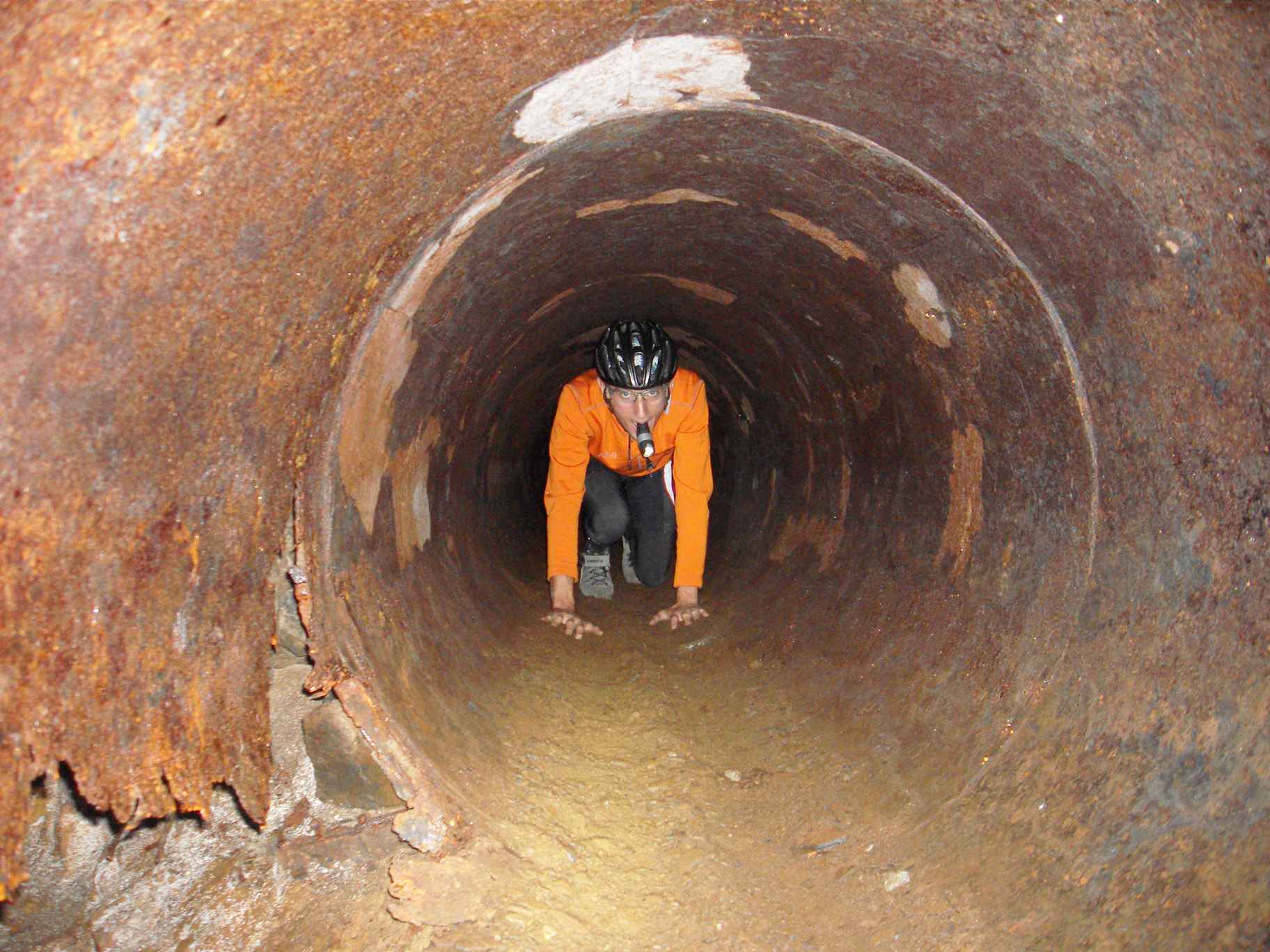 SDC10021.jpg