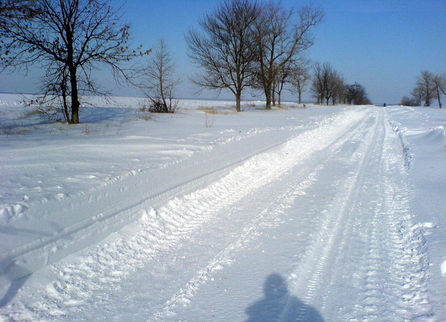 DSC00111.jpg