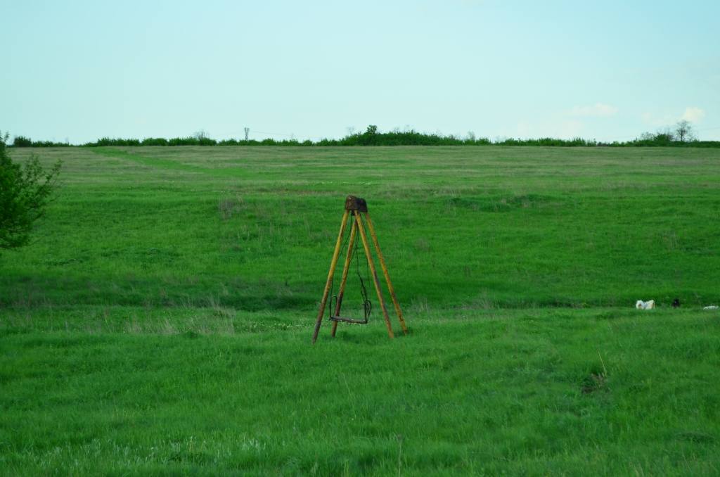 545.jpg