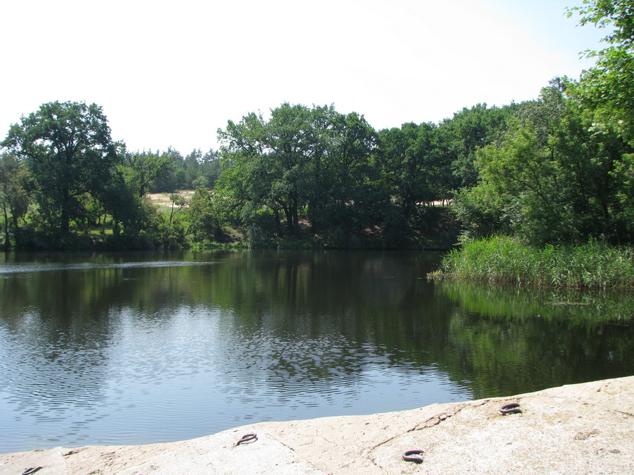 IMG_5286.jpg