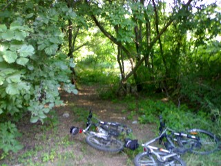 08072012037~1.jpg