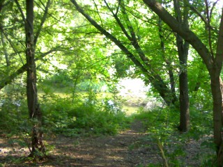 08072012038~1.jpg