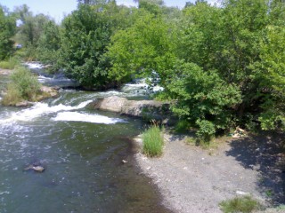 08072012050~1.jpg