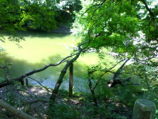 08072012057~1.jpg