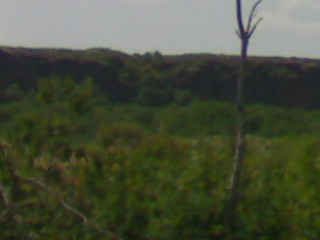08072012060~1.jpg