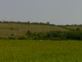 08072012062~1.jpg