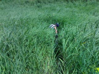 08072012065~1.jpg