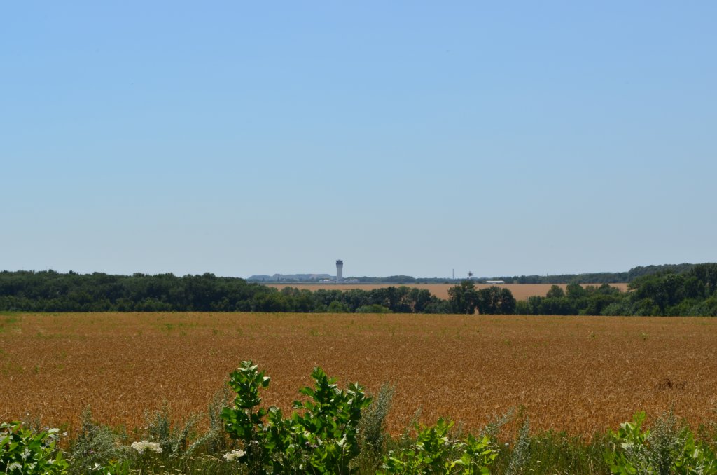 DSC_0004-m.jpg