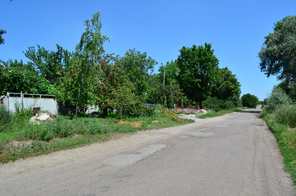 DSC_0012-m.jpg
