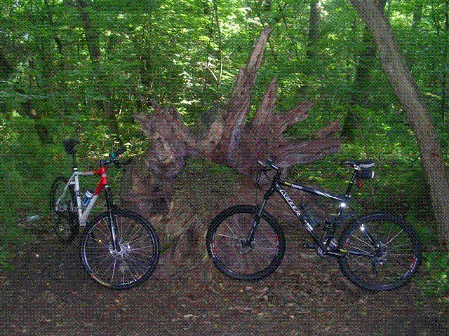 DSCN6757.GIF