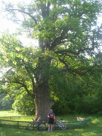 DSCN6750.GIF